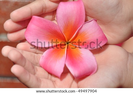 Beautiful girl hands holding flower