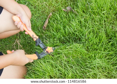 Mowing green grass with scissors,lawn care.\
,
