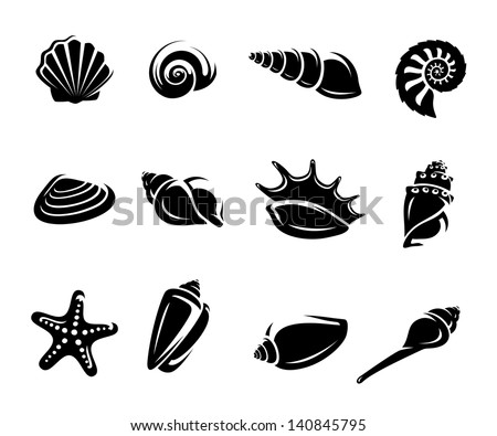 Conch Free Vector / 4Vector