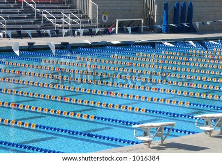 olympic-sized swimming pool