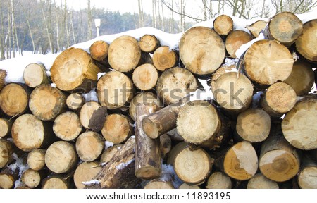 stacked timber logs ready for processing