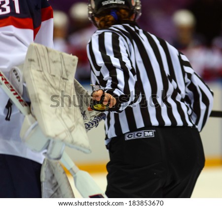 Sochi, RUSSIA - February 20, 2014: Ice hockey. Canada vs. USA Women\'s Gold Medal Game at the Sochi 2014 Olympic Games