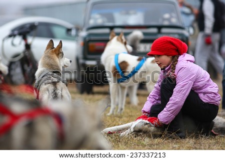 Kharkov, UKRAINE -?? November 15, 2014: Girl play with husky dog waiting for its heats at sled dogs dry land race Autumn Cup - 2014