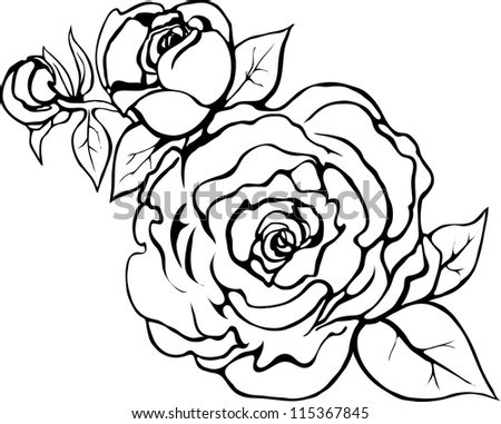 Beautiful Roses. Vector. - 115367845 : Shutterstock