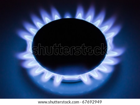 Blue flames of a burning natural gas. Gas cooker in action.