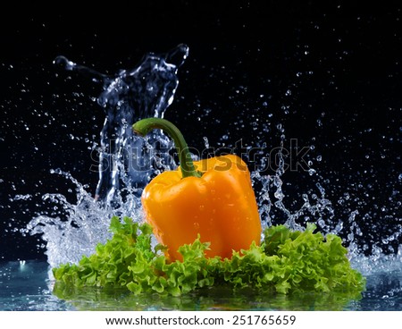 Pepper in spray of water. Juicy pepper with splash on black background