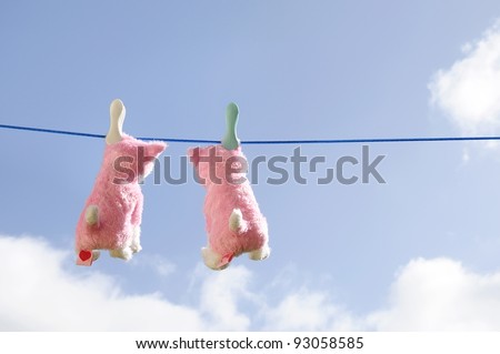 Two toy soft cats on a clothesline hanging out to dry.