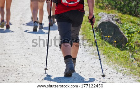 People hiking on a sunny day
