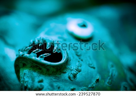 Abstract blurred face of evil moray