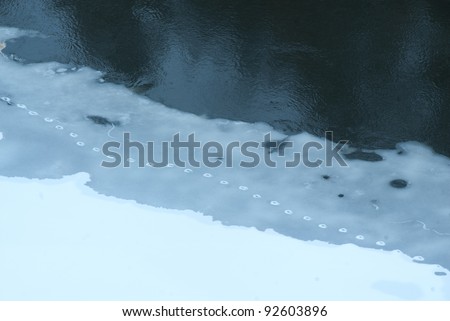 footprints on ice