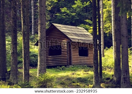 cozy wooden cabin in the woods