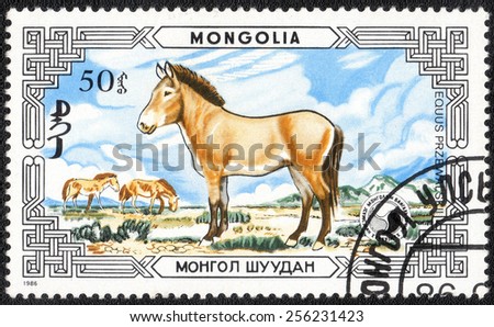 MONGOLIA - CIRCA 1986: A stamp printed in Mongolia shows animals , Equus Przewalskii, circa 1986