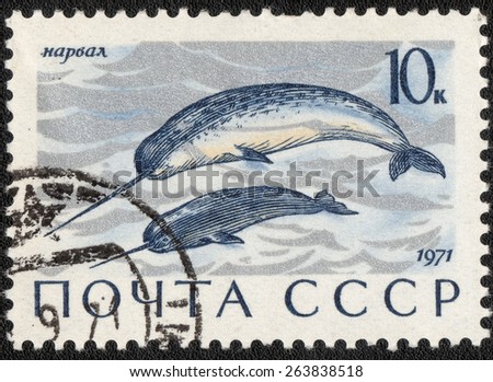 USSR - CIRCA 1971: A stamp printed in USSR shows series of wild animals 