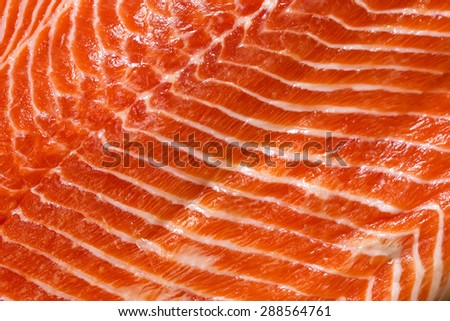 Fresh salmon fillet meat