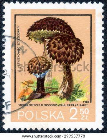 POLAND - CIRCA 1980: a stamp printed in the Poland shows a series of images \