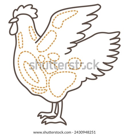 Vector illustration of chicken parts