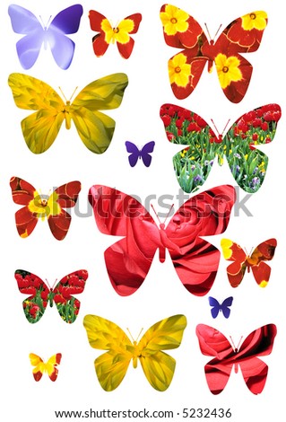 Set of the forms of the butterfly isolated, creative for designer, collection art