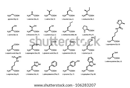 Serine (amino acid) Free Vector / 4Vector