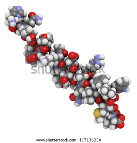 Glucagon Peptide Hormone, Chemical Structure. Glucagon Is Produced In ...