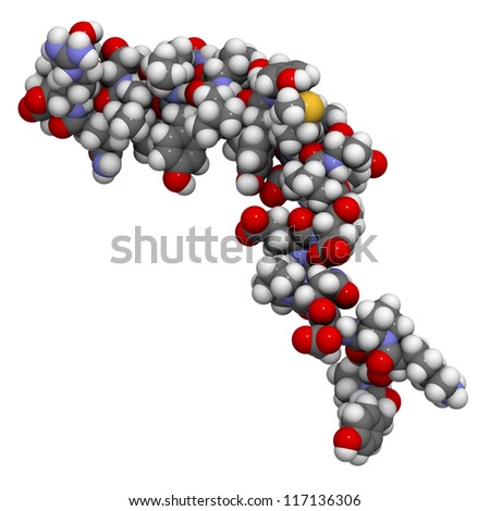 Neuropeptide Y (Npy) Molecule, Chemical Structure. Npy Is A ...