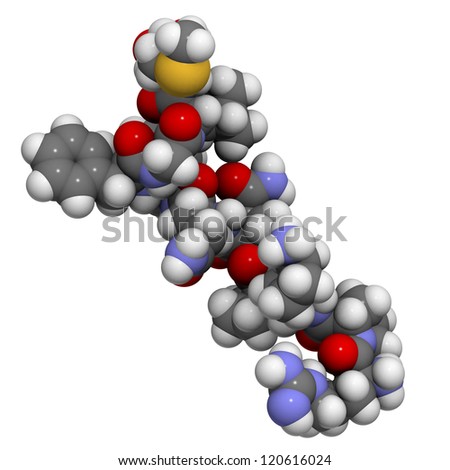 Substance P pain peptide molecule, chemical structure. This neuropeptide plays a role in pain sensation and inflammation.