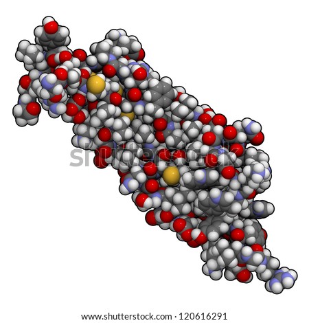 Transforming growth factor beta (TGFB) molecule. TGF beta is a cytokine that plays a number of roles in cell proliferation and differentiation.