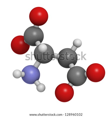 Aspartic acid (Asp, D, aspartate) amino acid, molecular model. Amino acids are the building blocks of all proteins. Atoms are represented as spheres with conventional color coding