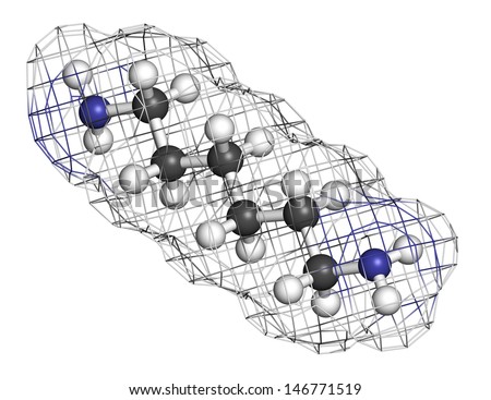 Hexamethylenediamine, nylon (polyamide) building block. Atoms are represented as spheres with conventional color coding: hydrogen (white), carbon (grey), nitrogen (blue). Wireframe surface.