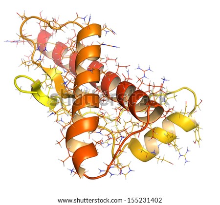 Human prion protein (hPrP), chemical structure. Associated with neurodegenerative diseases, including kuru, BSE and Creutzfeldt-Jakob. Cartoon + wireframe. N- (yellow) to C-term (red) gradient color.