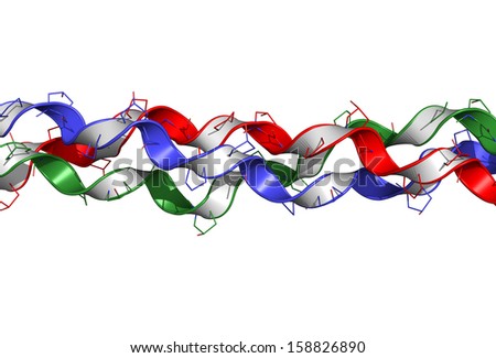 Collagen model protein, chemical structure. Essential component of skin, bone, hair, connective tissue, etc. Combined cartoon and wireframe representation. Per chain coloring.