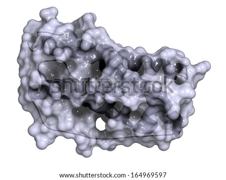 Granulocyte colony-stimulating factor (GCSF, filgrastim) molecule. Used to treat neutropenia. Cartoon model & semi-transparent surface.