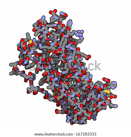 Granulocyte colony-stimulating factor (GCSF, filgrastim) molecule. Used to treat neutropenia. Tube representation (H atoms omitted), conventional atom coloring.