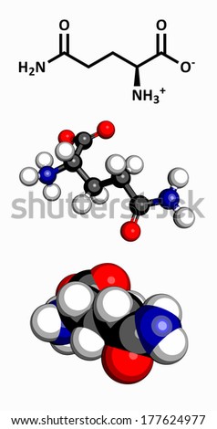 Glutamine (Gln, Q) amino acid molecule. Amino acids are the building blocks of all proteins. Three representations: 2D skeletal formula, 3D ball-and-stick model, 3D space-filling model.