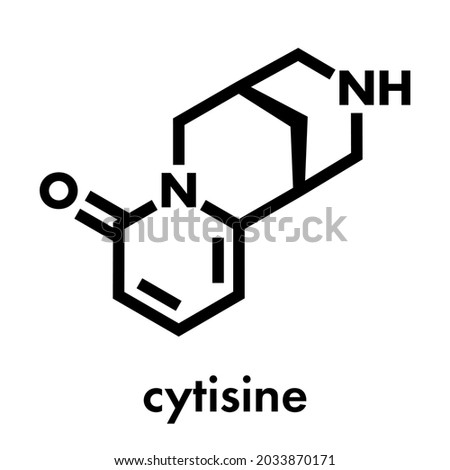 Cytisine, Also Known As Baptitoxine And Sophorine Stock Illustration -  Illustration of family, naturally: 226960216