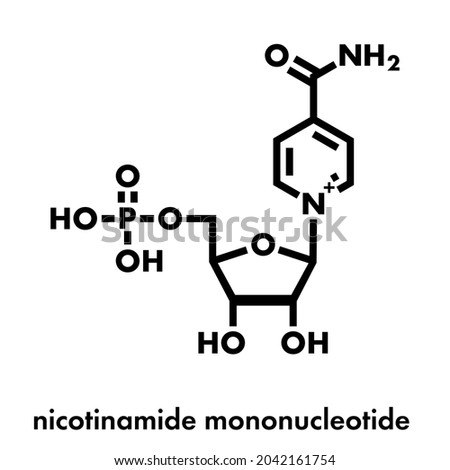 Nicotinamide mononucleotide molecule. Precursor of NAD+. Skeletal formula.