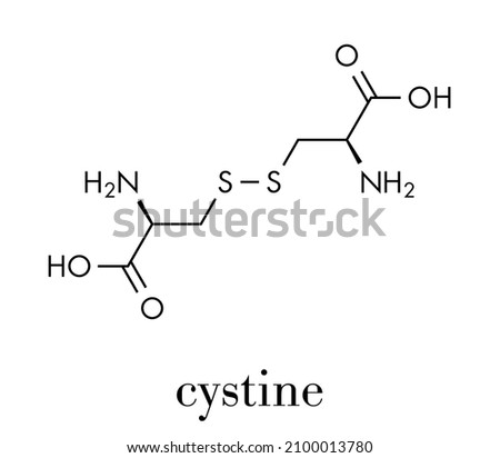 Cystine molecule. Oxidized dimer of the amino acid cysteine. Skeletal formula.