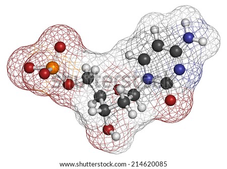 Deoxycytidine monophosphate (dCMP) nucleotide molecule. DNA building block. Atoms are represented as spheres with conventional color coding: hydrogen (white), carbon (grey), nitrogen (blue), etc