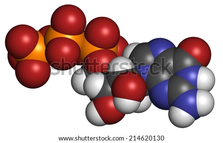 Guanosine triphosphate (GTP) RNA building block molecule. Also used as energy transport molecule and in signal transduction. Atoms are represented as spheres with conventional color coding.