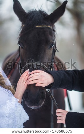 horse with wedding rings