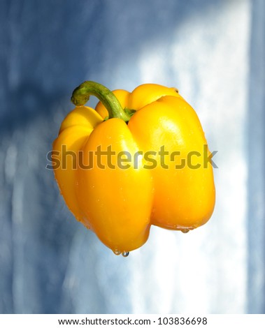 Pepper in spray of water. Juicy pepper with splash on background