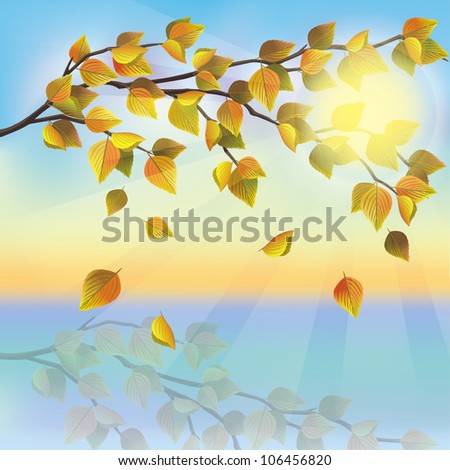 Autumn tree with flying leaves on background of sunset, beautiful nature landscape, vector illustration. Place for text