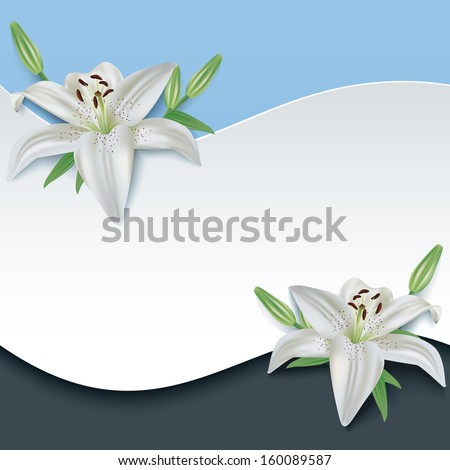 Greeting or invitation card with 3d flower white lily. Stylish trendy floral background blue - black. Vector illustration