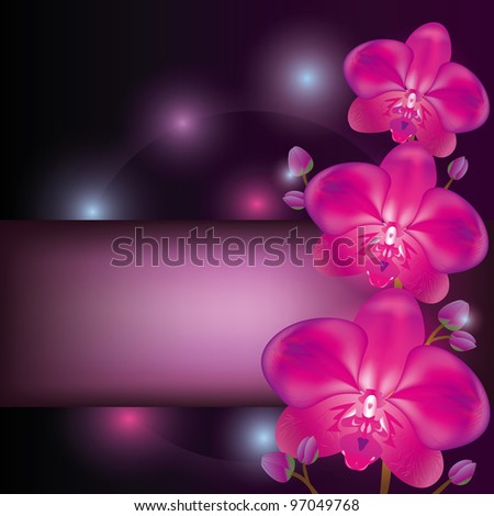 Exotic flower purple orchid background, greeting or invitation card
