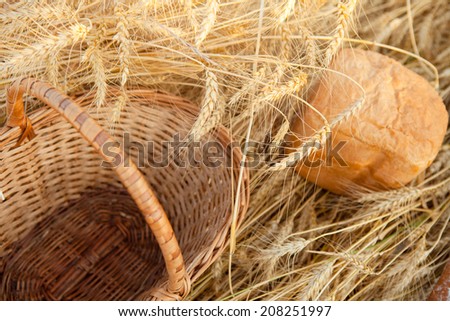 empty basket  bread in field of wheat