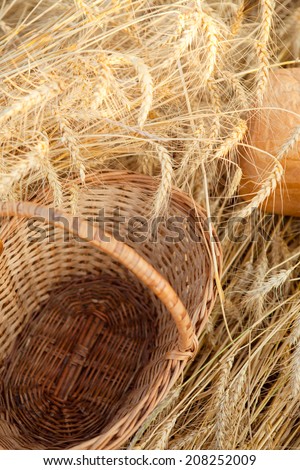 empty basket whit bread in field of wheat