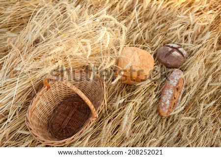 empty basket whit different kinds of bread in field of wheat