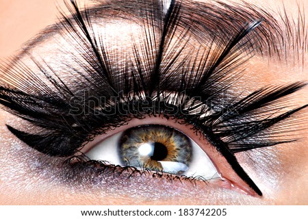 Beautiful Eye Makeup.Wellness, cosmetics and make-up. Holiday visage