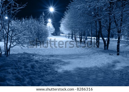 Similar – Image, Stock Photo Tree avenue in winter with snow