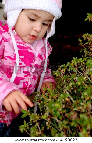 toddler looking at bush in garden