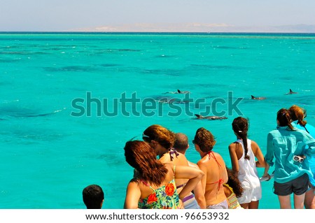 A group of tourist, on a one-day marine excursion, gather on the boat deck to curiously watch a pod of dolphins as they swim in the blue turquoise waters of the Red Sea, Egypt